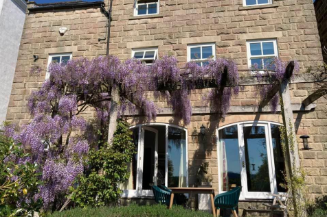 Trollbridge House Garden 2.png