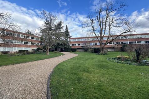 Communal Garden