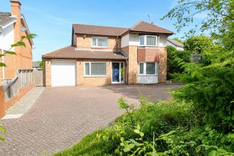 Property Image 32