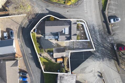 Birds Eye 3