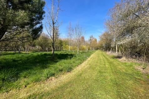 IMG-20250414-WA00...