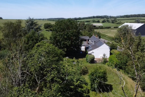 Side Garden Drone Picture