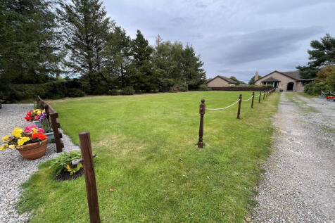 Garden Plot