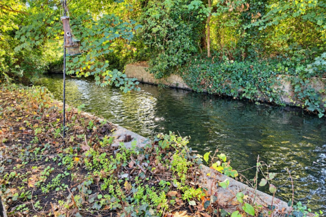 wandle shot.png
