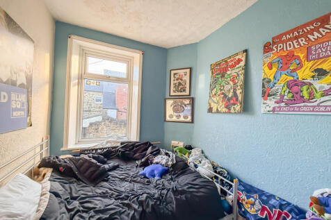 IMG 8786 T202512031647.jpg