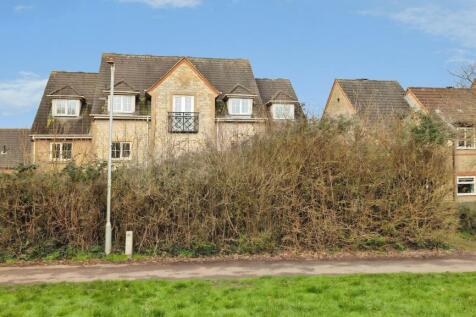 24 Hayleaze front shot a.jpg