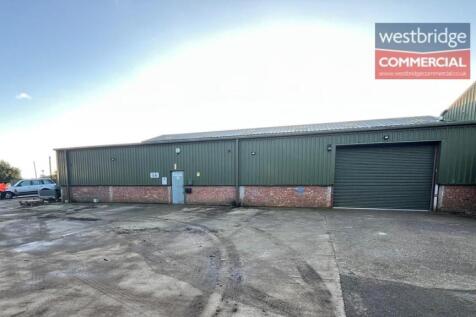 watermarked front.jpg