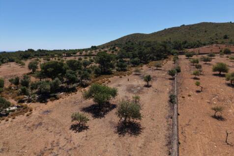 Panoramic view