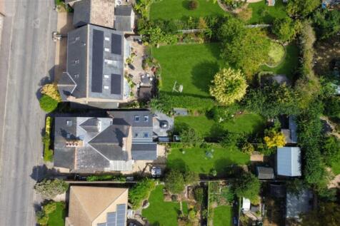 AI enhanced green grass overhead.jpg