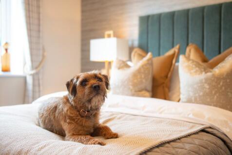 Violet Place, Bagshot