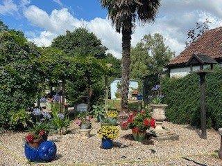 Summer Garden