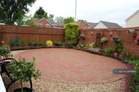 Back Garden