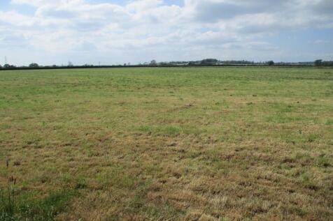 Field Views
