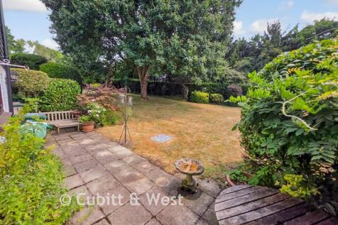 Rear Patio