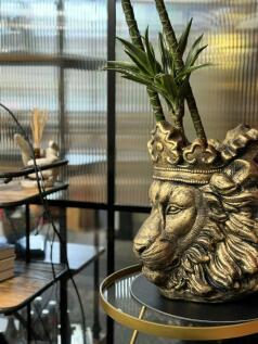 Image  20240927T103259272.jpg