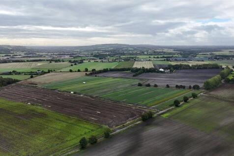 Aerial Image