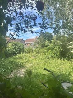 Sunny private garden surrounded by lush greener...