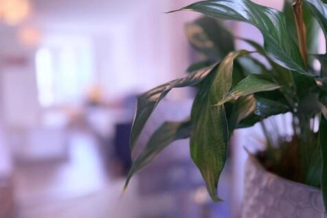 WhatsApp Image 2025-12-11 at 13.04.34 (5).jpeg