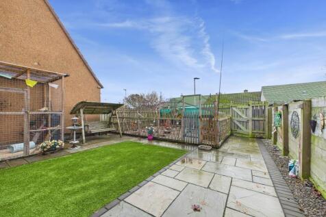 CAM03481G0-PR0122-STILL030