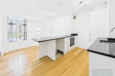 Open plan living/bedroom/kitchen area