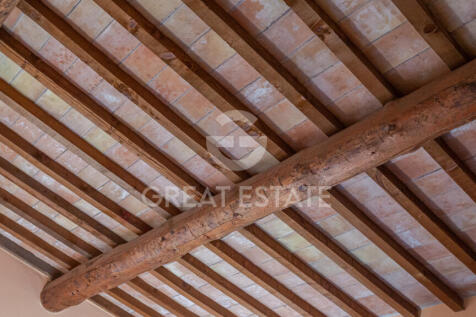 Panorama e Particolari