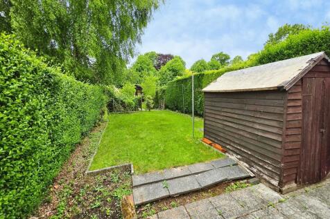 Back Garden