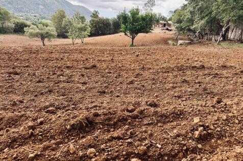 PHOTO-2025-05-07-20-