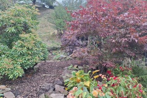 Rear garden &amp; Outlook