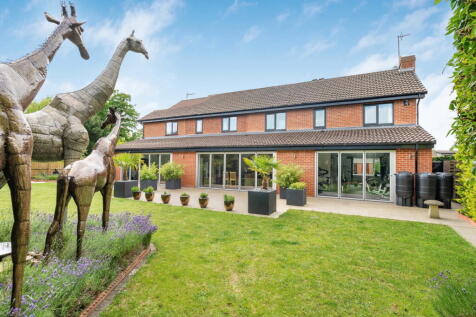 Property Image 38