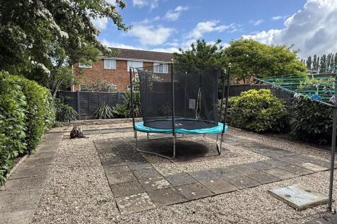 garden2.JPG