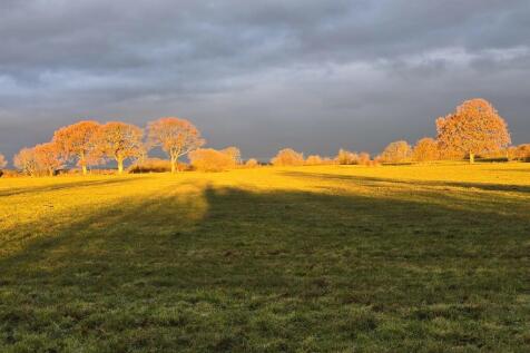 Great Scenery