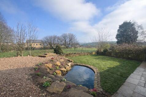 Back garden