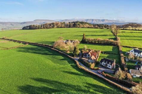 dji_fly_20260317_165550_0104_1773766553108_photo.j