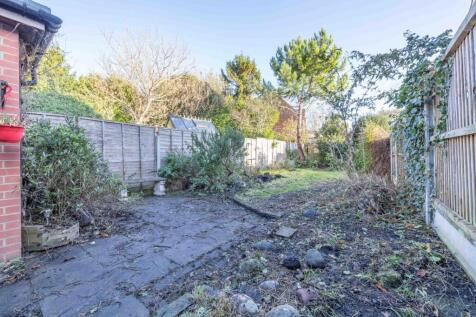 Picture 11