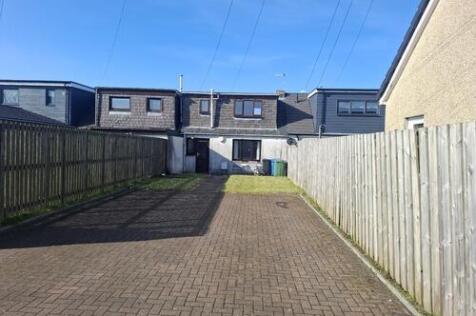 Back Garden