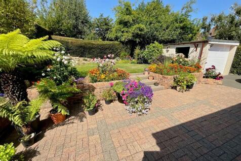 Garden.jpg
