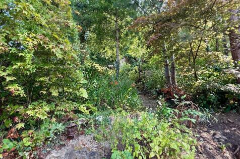 Upper gardens, ideal for dogs to potter