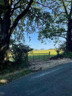 Farm Land for sale Image 4