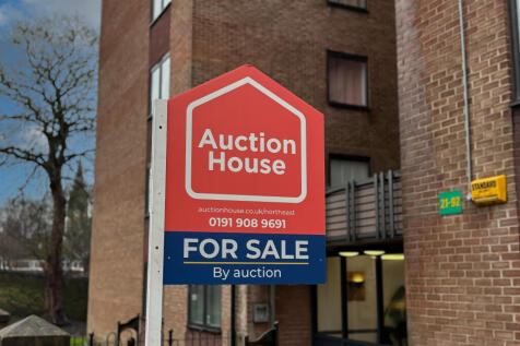 IMG 2353 T202602121940.jpg