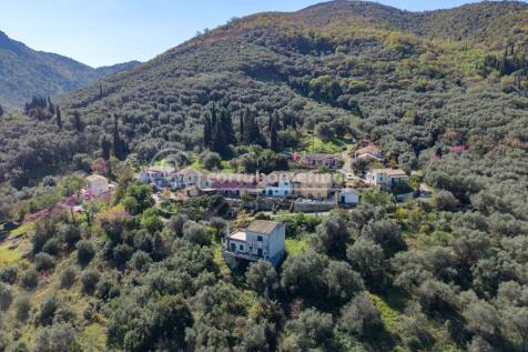 Aerial shot