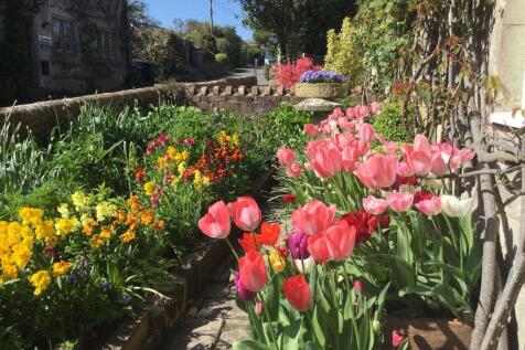 Garden in Spring