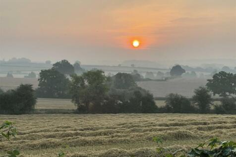 Rear view sunset.jpg