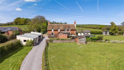 Picture No. 11