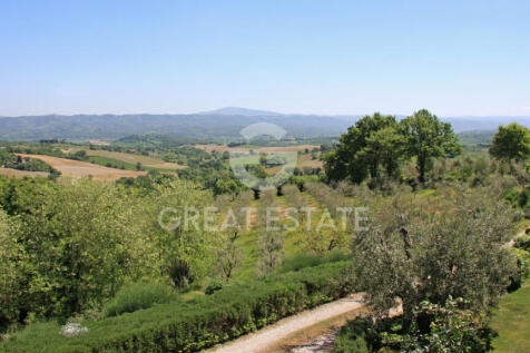 Panorama e Particolari