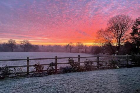 Snowy views.jpg