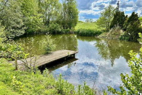 pond 1.JPG