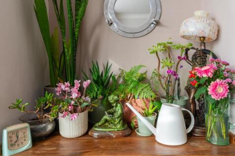 0W1SSE - Living Room A.jpg