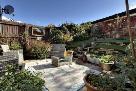 IMG_Garden