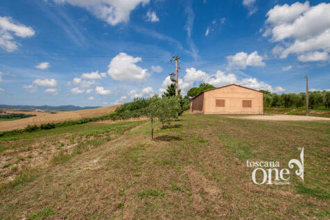 poggio alle talpe -7