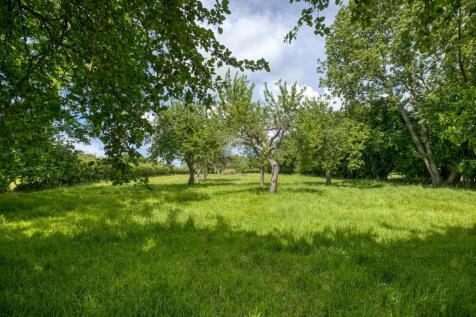 Property Image 54
